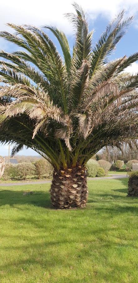 Roscanvel Le Petit Coin De Paradis מראה חיצוני תמונה